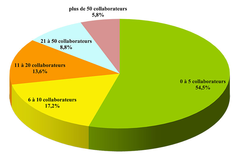 Répartition des qualifiés OPQIBI par effectif en 2025